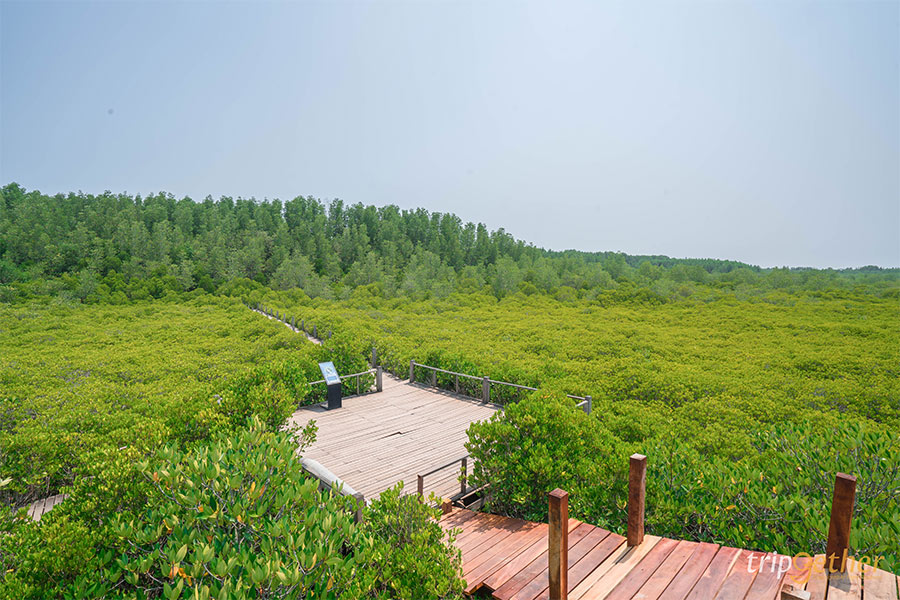 ที่เที่ยวใกล้กรุง