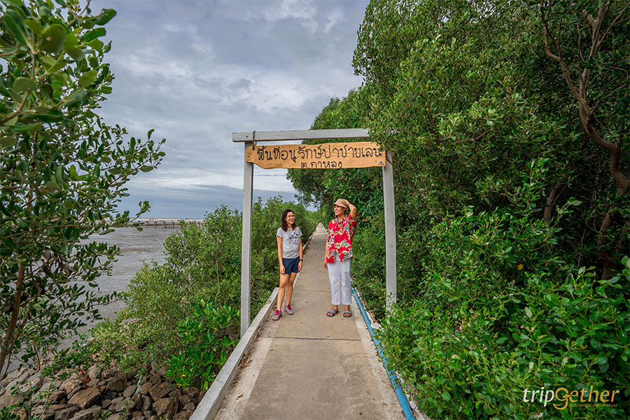 สะพานสายรุ้ง
