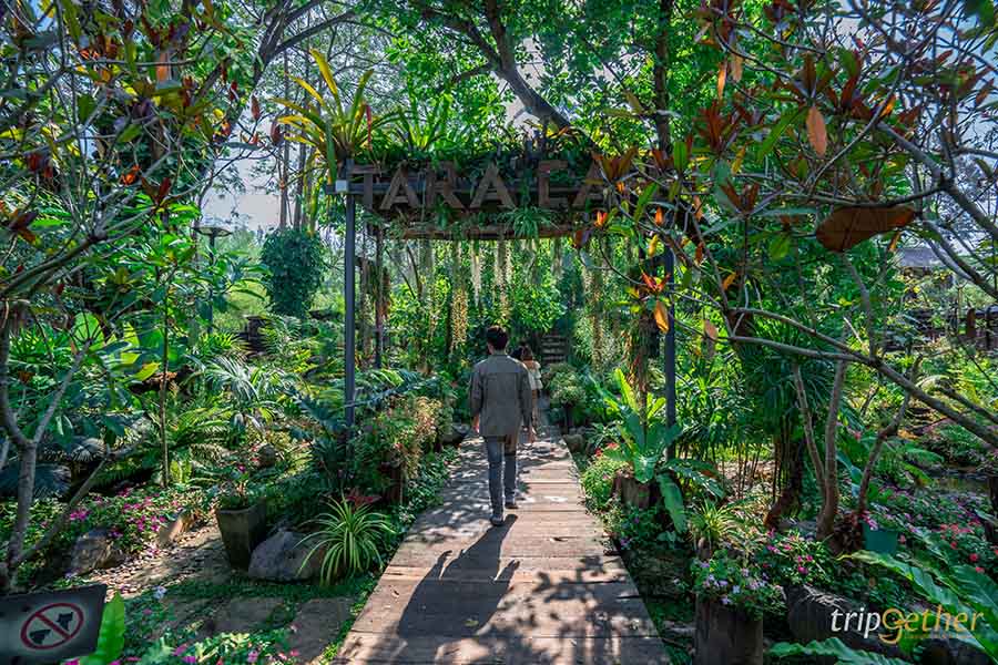 12 จุดเช็คอิน เขาใหญ่-วังน้ำเขียว ชวนกันไปชิลล์ กินเที่ยวกันได้ทั้งปี