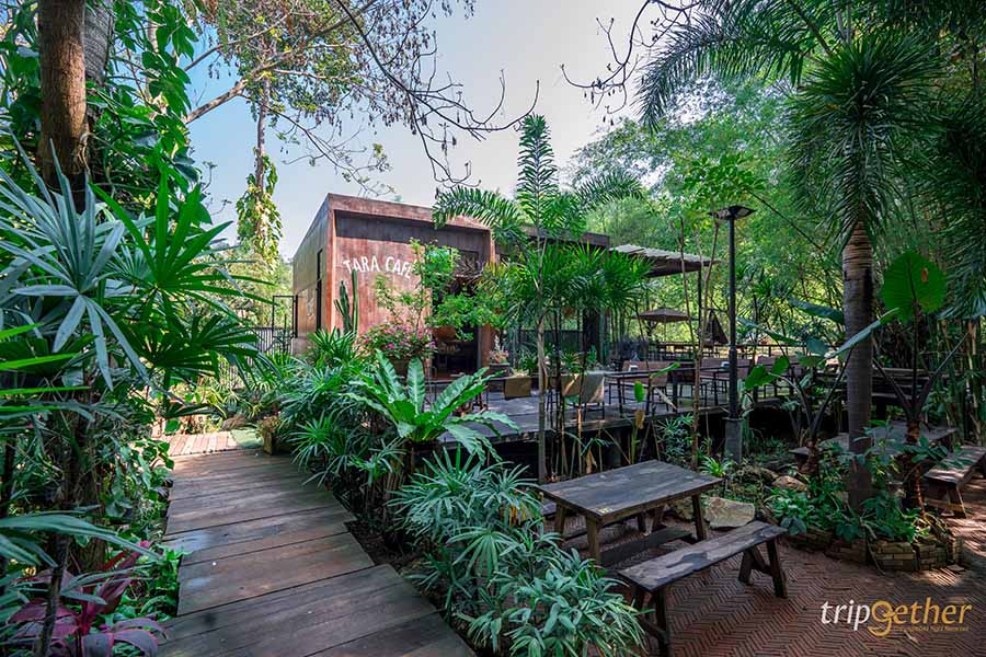 12 จุดเช็คอิน เขาใหญ่-วังน้ำเขียว ชวนกันไปชิลล์ กินเที่ยวกันได้ทั้งปี