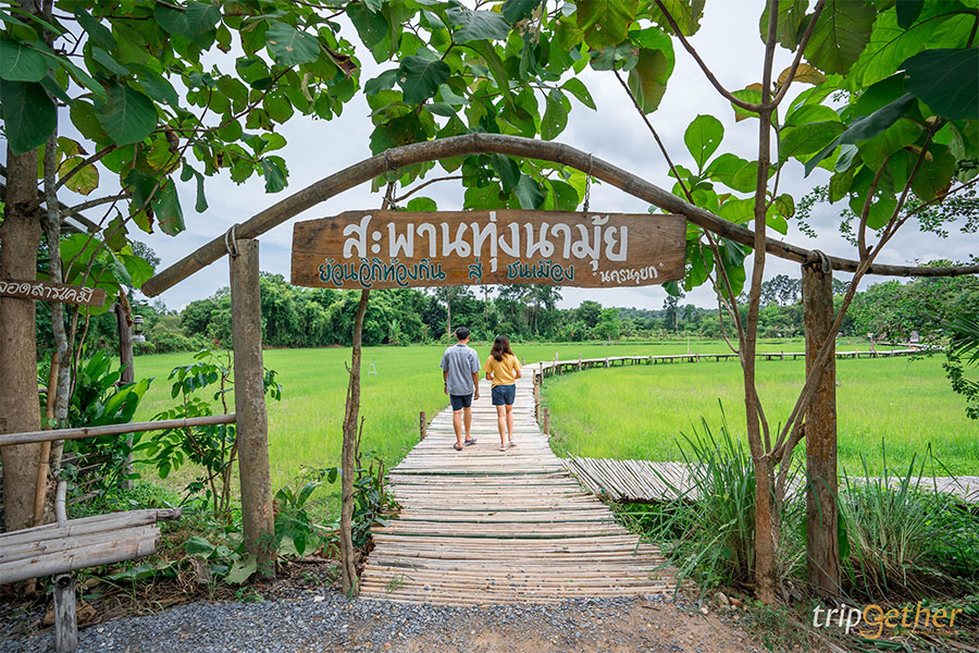สะพานทุ่งนามุ้ย