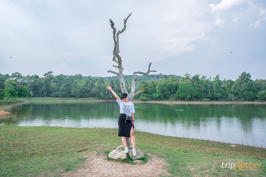 อ่างเก็บน้ำสายศร