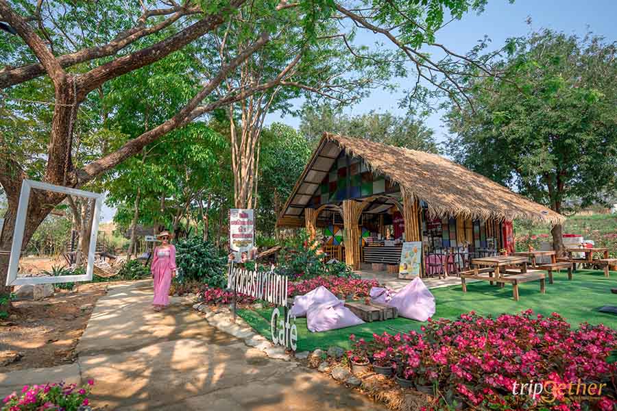 12 จุดเช็คอิน เขาใหญ่-วังน้ำเขียว ชวนกันไปชิลล์ กินเที่ยวกันได้ทั้งปี