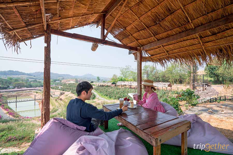 12 จุดเช็คอิน เขาใหญ่-วังน้ำเขียว ชวนกันไปชิลล์ กินเที่ยวกันได้ทั้งปี