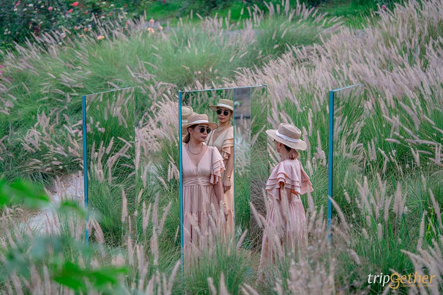 12 จุดเช็คอิน เขาใหญ่-วังน้ำเขียว ชวนกันไปชิลล์ กินเที่ยวกันได้ทั้งปี