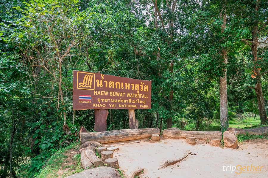 12 จุดเช็คอิน เขาใหญ่-วังน้ำเขียว ชวนกันไปชิลล์ กินเที่ยวกันได้ทั้งปี