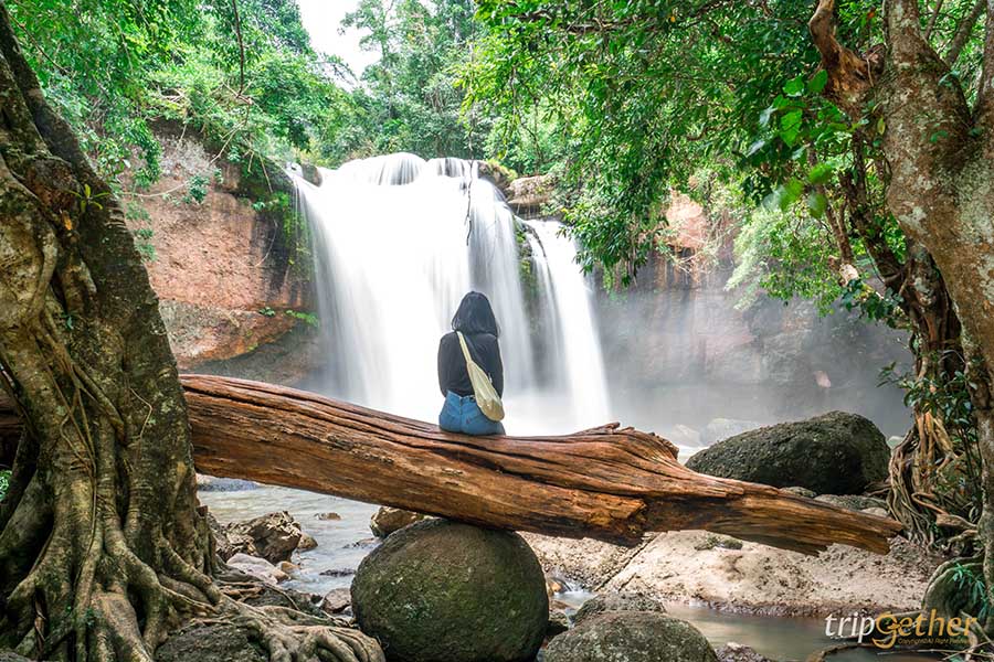 12 จุดเช็คอิน เขาใหญ่-วังน้ำเขียว ชวนกันไปชิลล์ กินเที่ยวกันได้ทั้งปี