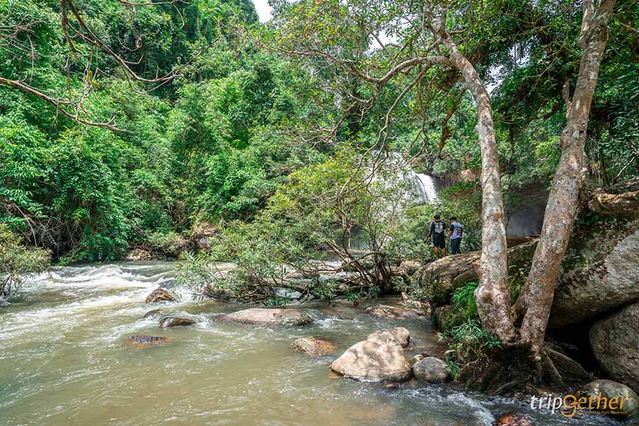12 จุดเช็คอิน เขาใหญ่-วังน้ำเขียว ชวนกันไปชิลล์ กินเที่ยวกันได้ทั้งปี