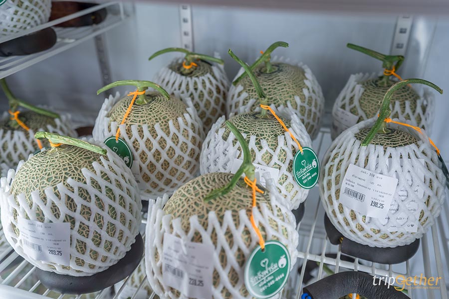 12 จุดเช็คอิน เขาใหญ่-วังน้ำเขียว ชวนกันไปชิลล์ กินเที่ยวกันได้ทั้งปี