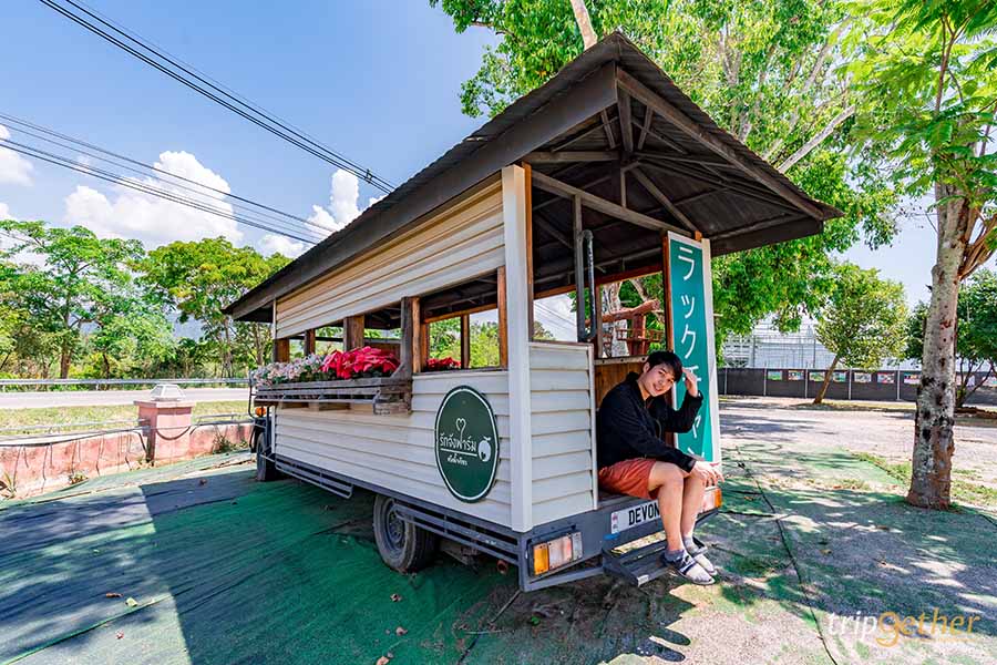 12 จุดเช็คอิน เขาใหญ่-วังน้ำเขียว ชวนกันไปชิลล์ กินเที่ยวกันได้ทั้งปี