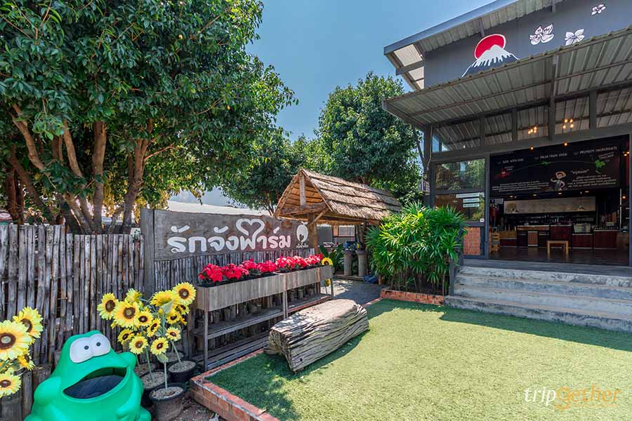 12 จุดเช็คอิน เขาใหญ่-วังน้ำเขียว ชวนกันไปชิลล์ กินเที่ยวกันได้ทั้งปี