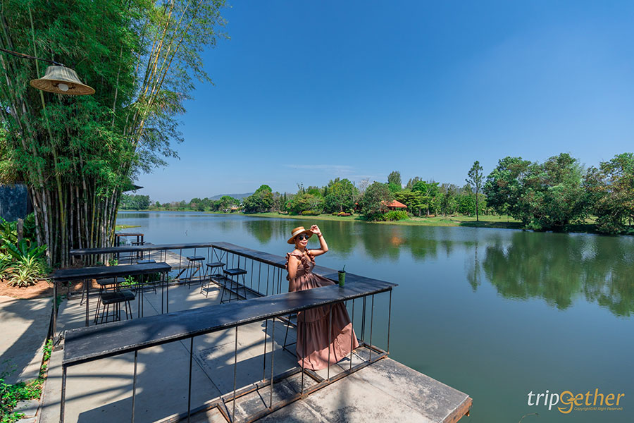 โรงคั่วกาแฟคาเฟ่