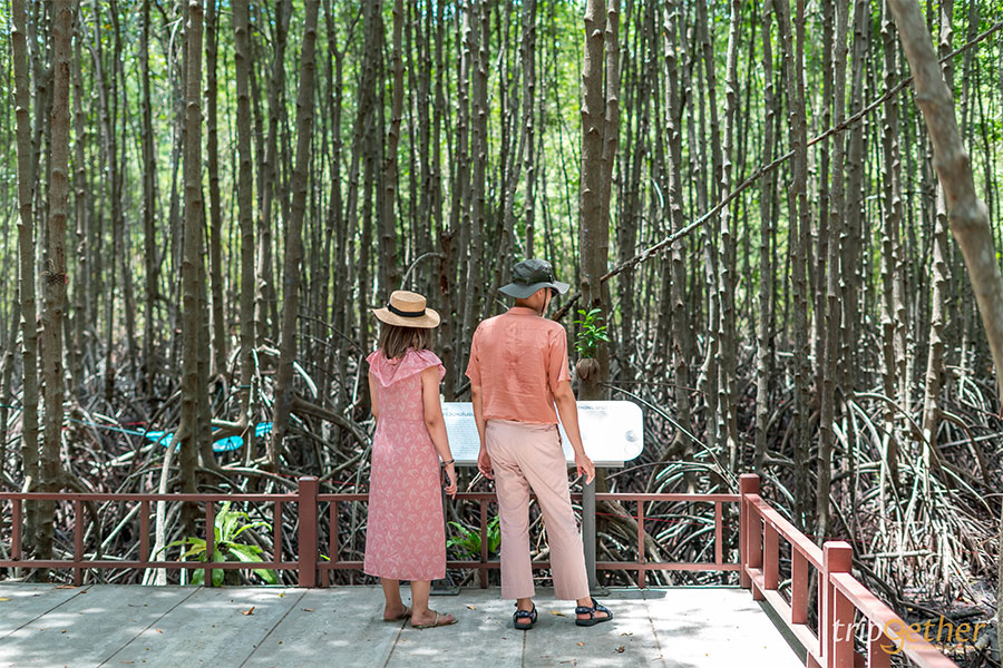 ที่เที่ยวธรรมชาติ