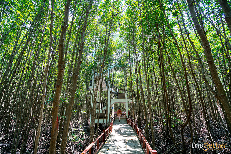 ที่เที่ยวธรรมชาติ