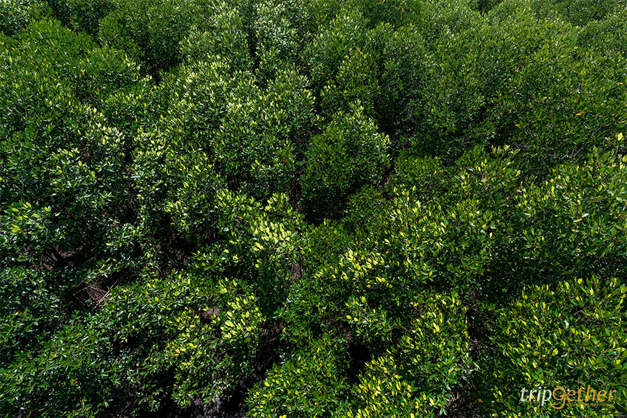 ที่เที่ยวธรรมชาติ