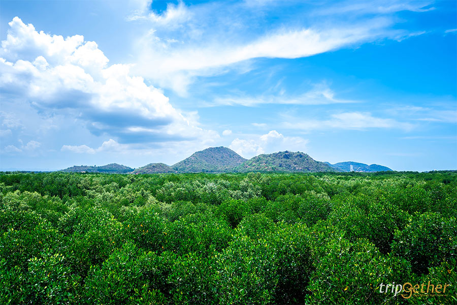 ที่เที่ยวธรรมชาติ