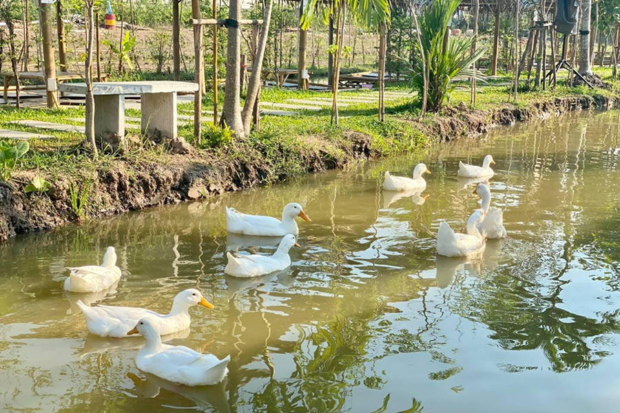 6 ร้านอาหาร + คาเฟ่ริมน้ำกลางสวน บรรยากาศชิลล์วิวปัง!