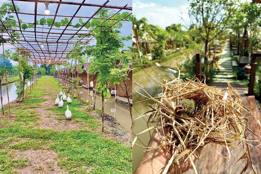 6 ร้านอาหาร + คาเฟ่ริมน้ำกลางสวน บรรยากาศชิลล์วิวปัง!