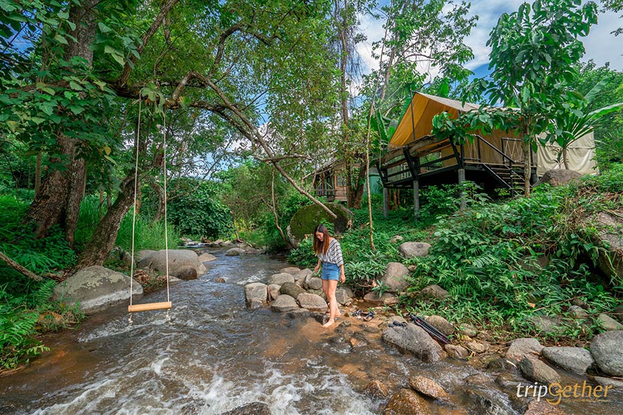 6 ที่พักเชียงใหม่นอนกลางป่า ฟังเสียงธรรมชาติ รับอากาศบริสุทธิ์