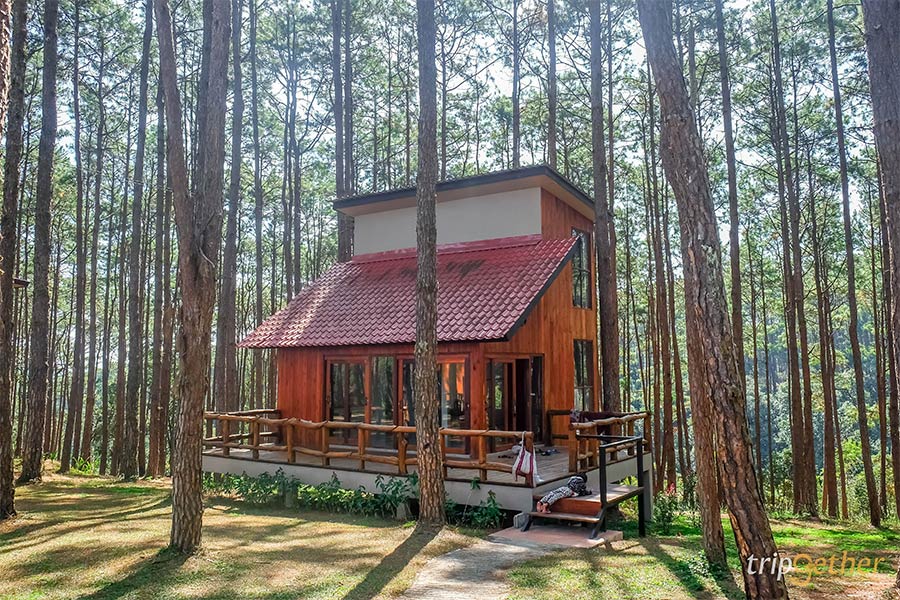 6 ที่พักเชียงใหม่นอนกลางป่า ฟังเสียงธรรมชาติ รับอากาศบริสุทธิ์