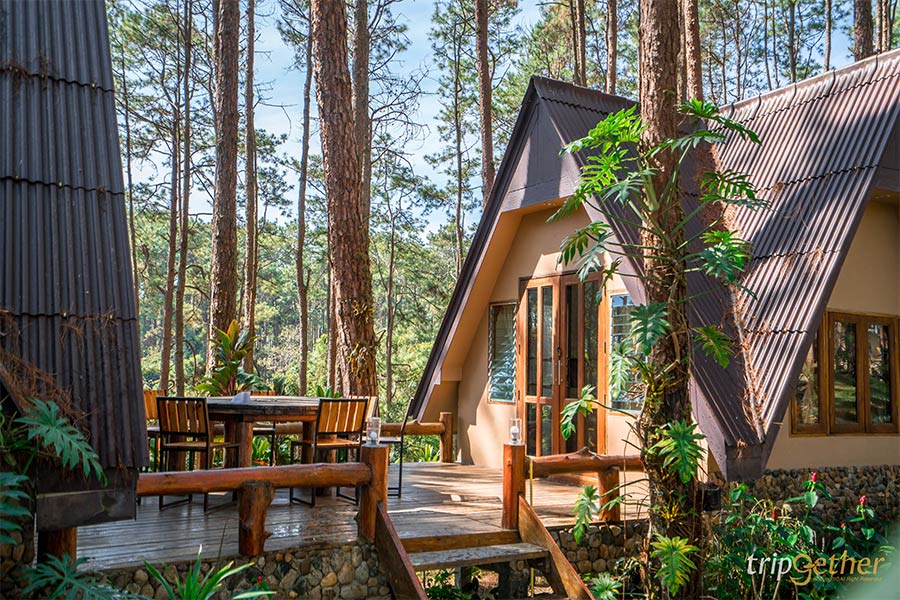 6 ที่พักเชียงใหม่นอนกลางป่า ฟังเสียงธรรมชาติ รับอากาศบริสุทธิ์