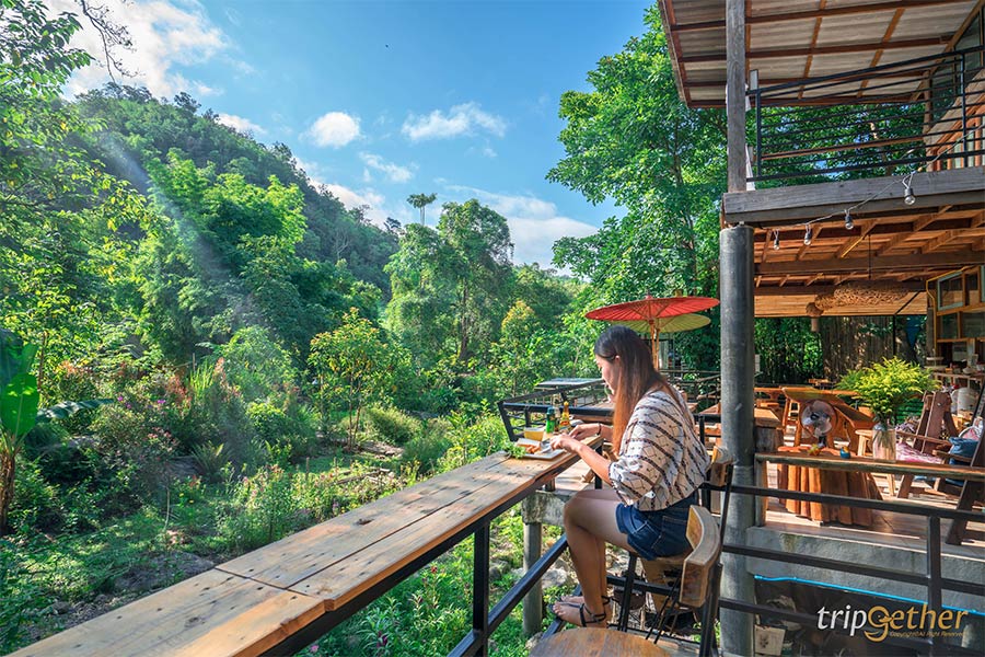 6 ที่พักเชียงใหม่นอนกลางป่า ฟังเสียงธรรมชาติ รับอากาศบริสุทธิ์