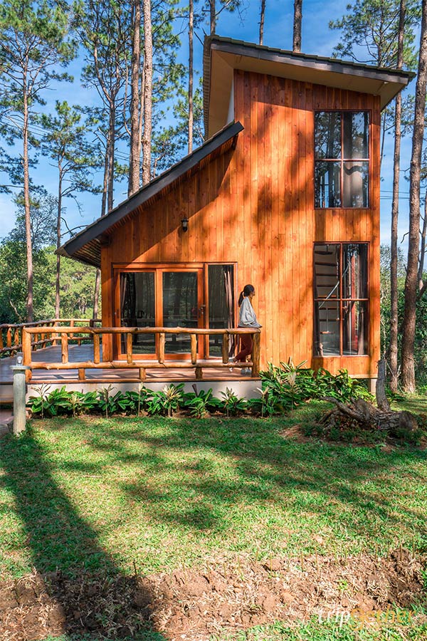 6 ที่พักเชียงใหม่นอนกลางป่า ฟังเสียงธรรมชาติ รับอากาศบริสุทธิ์