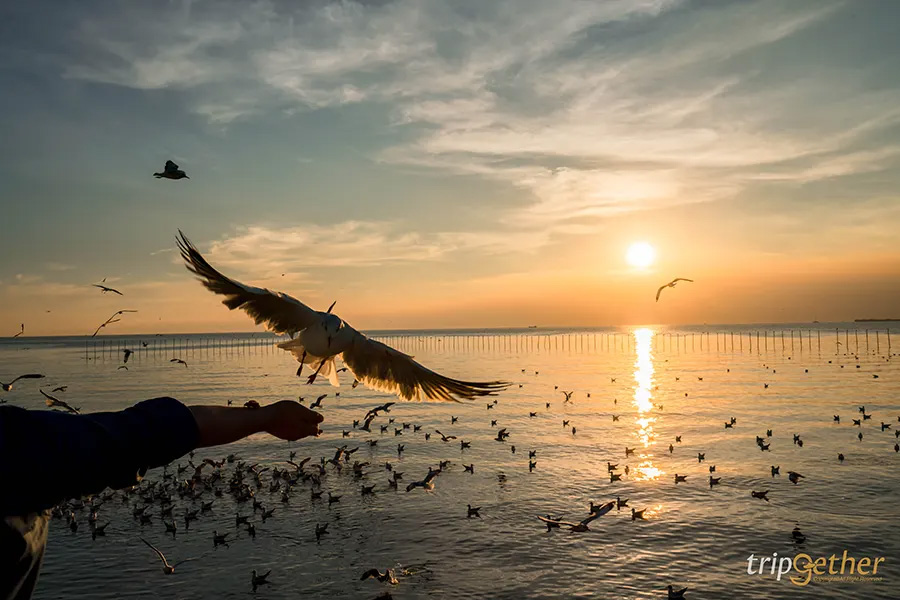 พระอาทิตย์ตก