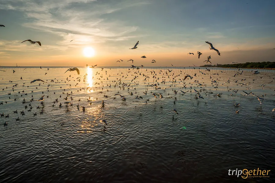 พระอาทิตย์ตก