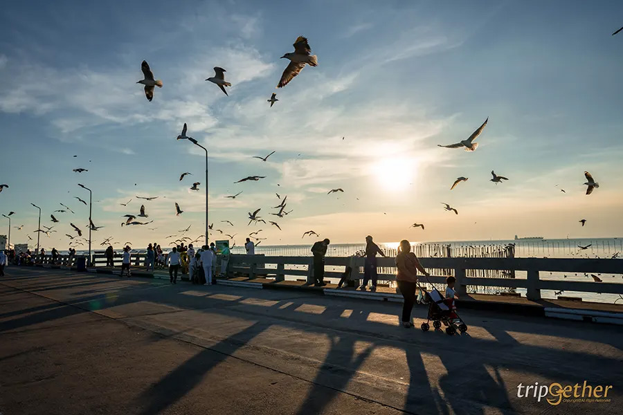 พระอาทิตย์ตก