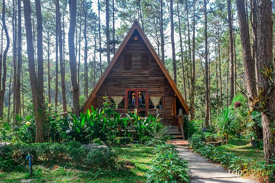 6 ที่พักเชียงใหม่นอนกลางป่า ฟังเสียงธรรมชาติ รับอากาศบริสุทธิ์