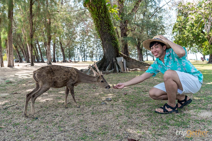 5 เกาะน้ำใส จ.ตราด หาดทรายขาวธรรมชาติสวย บรรยากาศดีต่อใจ!