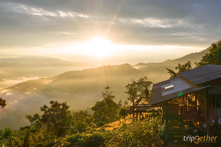 6 ที่พักเชียงใหม่นอนกลางป่า ฟังเสียงธรรมชาติ รับอากาศบริสุทธิ์