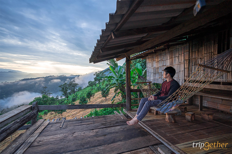 6 ที่พักเชียงใหม่นอนกลางป่า ฟังเสียงธรรมชาติ รับอากาศบริสุทธิ์