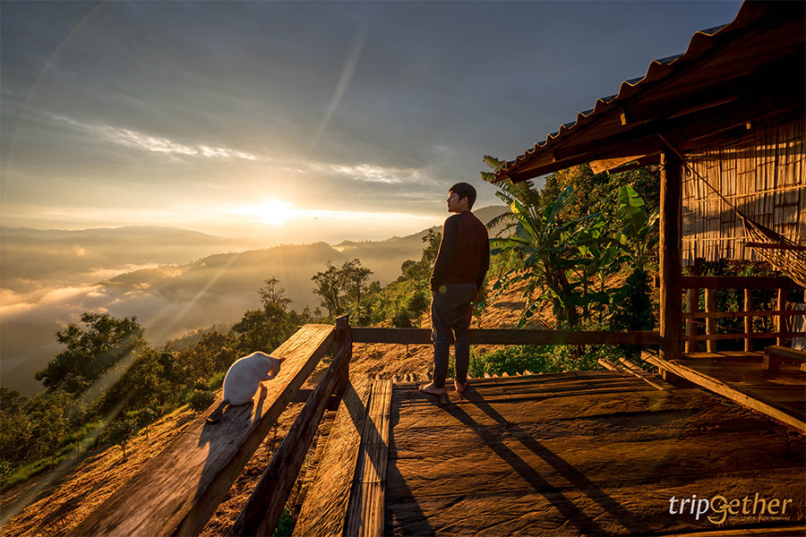 6 ที่พักเชียงใหม่นอนกลางป่า ฟังเสียงธรรมชาติ รับอากาศบริสุทธิ์