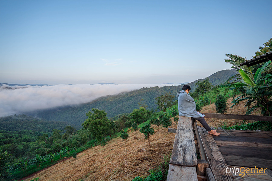 6 ที่พักเชียงใหม่นอนกลางป่า ฟังเสียงธรรมชาติ รับอากาศบริสุทธิ์