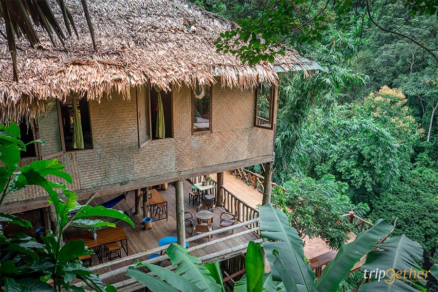 6 ที่พักเชียงใหม่นอนกลางป่า ฟังเสียงธรรมชาติ รับอากาศบริสุทธิ์