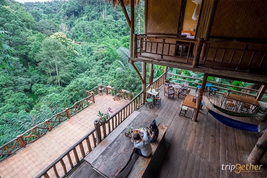 6 ที่พักเชียงใหม่นอนกลางป่า ฟังเสียงธรรมชาติ รับอากาศบริสุทธิ์