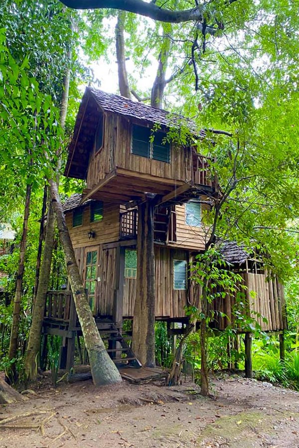 6 ที่พักเชียงใหม่นอนกลางป่า ฟังเสียงธรรมชาติ รับอากาศบริสุทธิ์