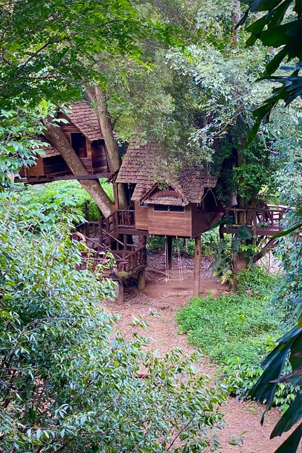 6 ที่พักเชียงใหม่นอนกลางป่า ฟังเสียงธรรมชาติ รับอากาศบริสุทธิ์