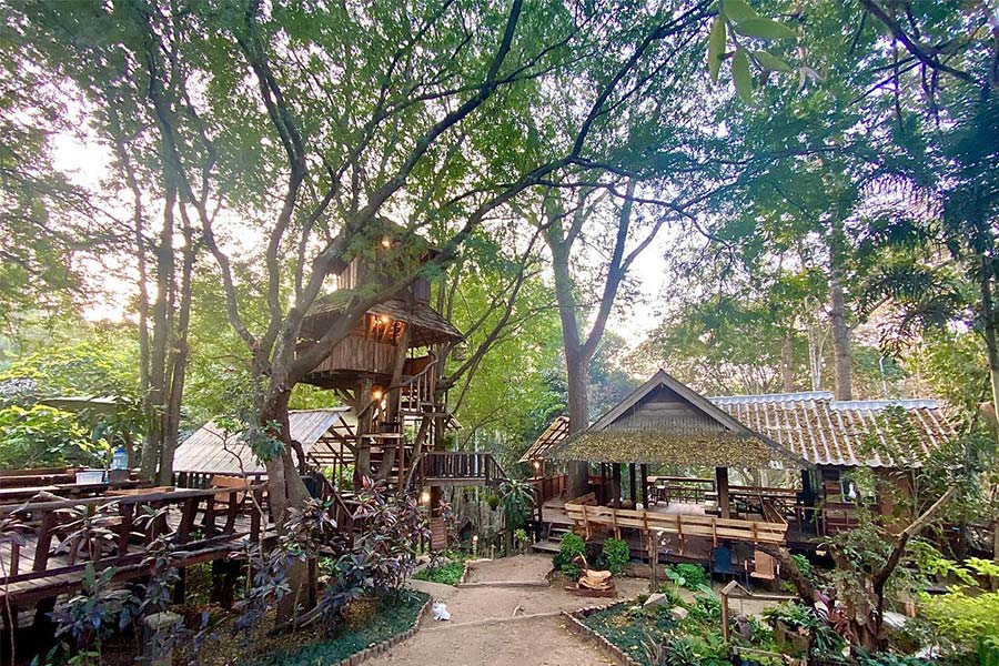 6 ที่พักเชียงใหม่นอนกลางป่า ฟังเสียงธรรมชาติ รับอากาศบริสุทธิ์