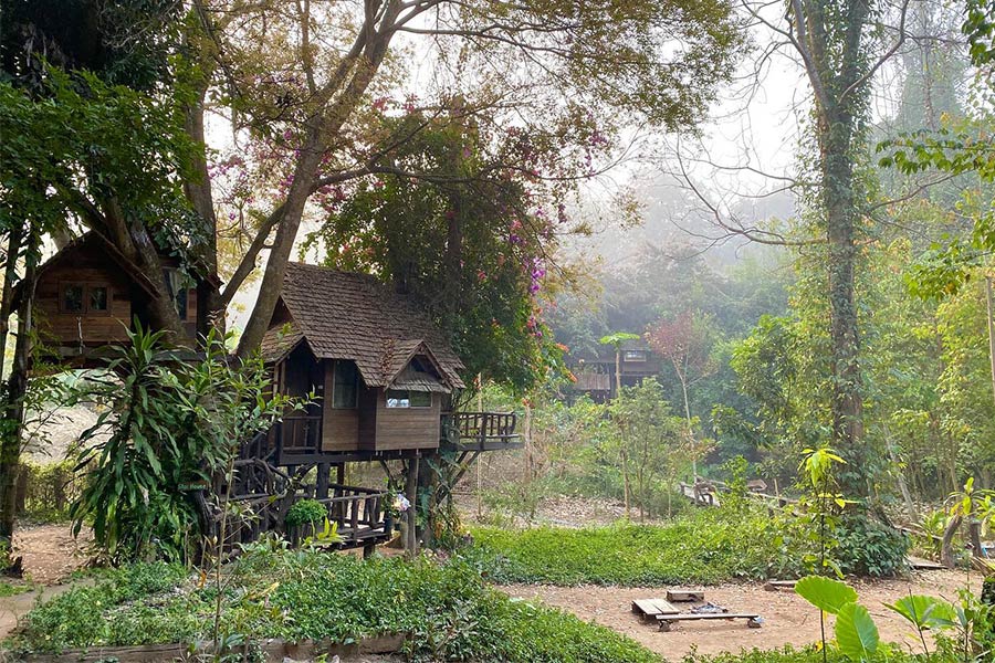 6 ที่พักเชียงใหม่นอนกลางป่า ฟังเสียงธรรมชาติ รับอากาศบริสุทธิ์