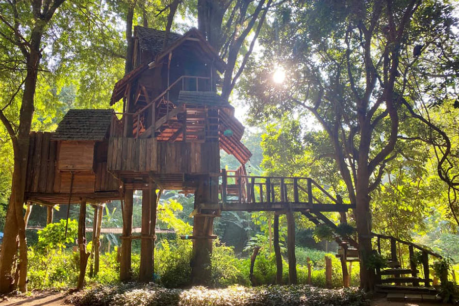 6 ที่พักเชียงใหม่นอนกลางป่า ฟังเสียงธรรมชาติ รับอากาศบริสุทธิ์