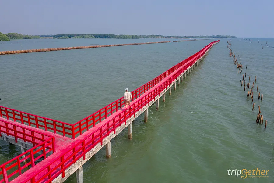 ดูพระอาทิตย์