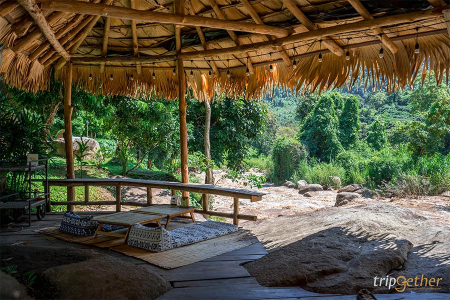 6 ที่พักเชียงใหม่นอนกลางป่า ฟังเสียงธรรมชาติ รับอากาศบริสุทธิ์