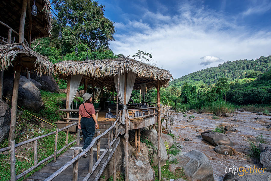6 ที่พักเชียงใหม่นอนกลางป่า ฟังเสียงธรรมชาติ รับอากาศบริสุทธิ์
