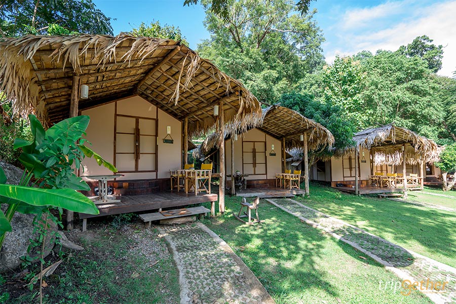 6 ที่พักเชียงใหม่นอนกลางป่า ฟังเสียงธรรมชาติ รับอากาศบริสุทธิ์