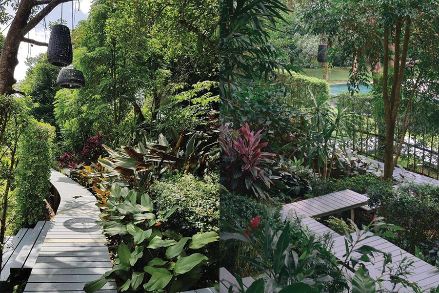 5 ที่พักระนอง โอบล้อมไปด้วยธรรมชาติสุดชิลล์ บรรยากาศดีต่อใจ!