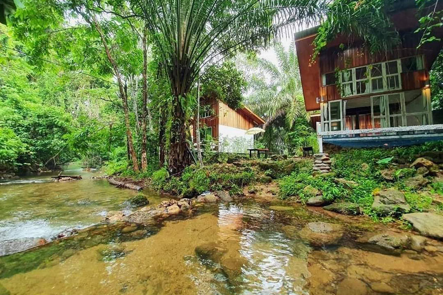 5 ที่พักระนอง บรรยากาศกลางป่า นอนติดริมน้ำ