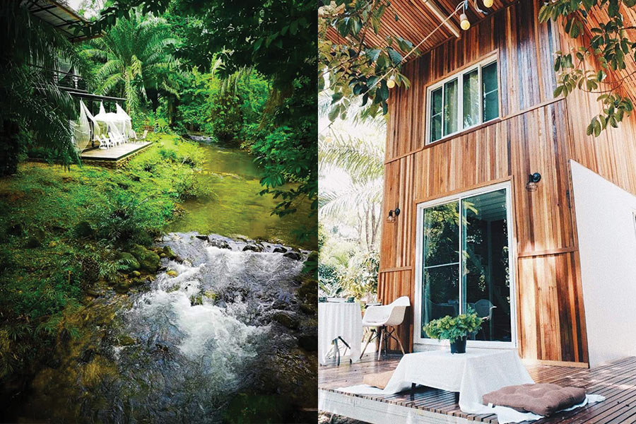 5 ที่พักระนอง บรรยากาศกลางป่า นอนติดริมน้ำ